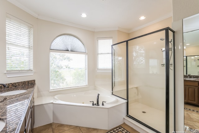 bathroom featuring ornamental molding, vanity, and a healthy amount of sunlight