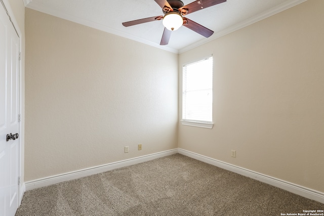 carpeted spare room with ceiling fan and crown molding