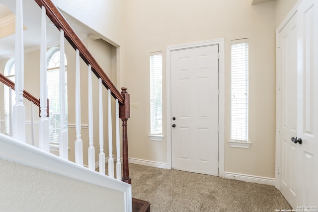 entrance foyer with carpet flooring