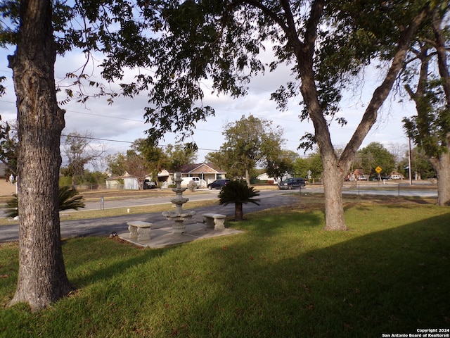 view of community with a yard