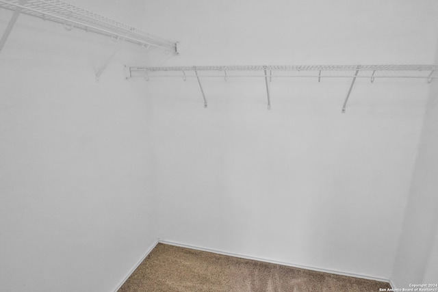 spacious closet featuring carpet