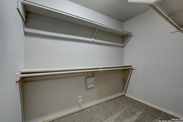 spacious closet featuring carpet