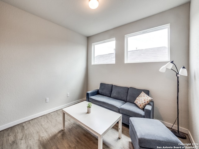 living room featuring hardwood / wood-style flooring