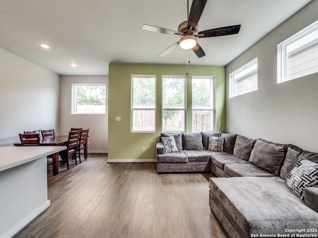 living room featuring hardwood / wood-style floors and ceiling fan