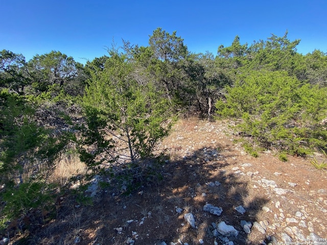 view of landscape