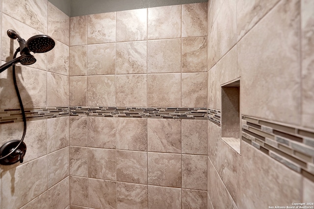 interior details with tiled shower