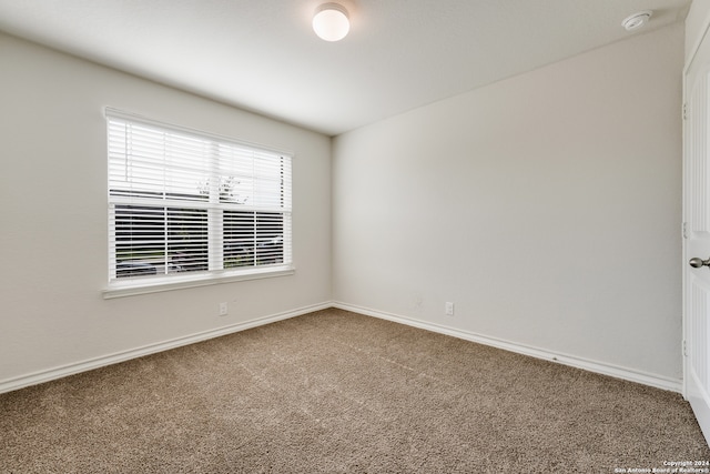 empty room featuring carpet