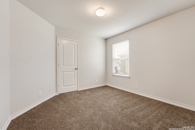 spare room with carpet