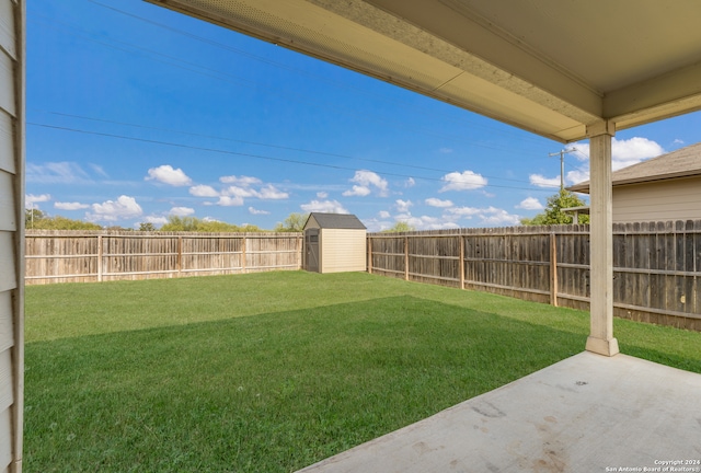 view of yard with a patio and a storage shed