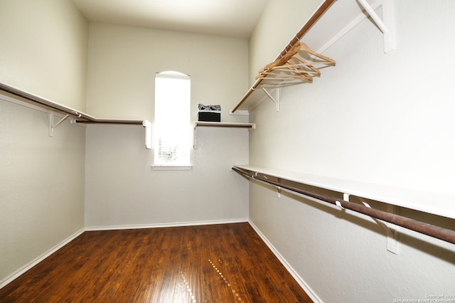 walk in closet with dark hardwood / wood-style flooring