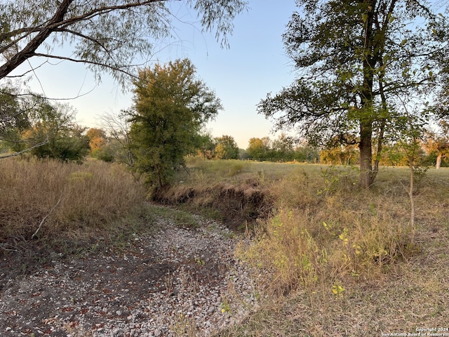 view of nature at dusk