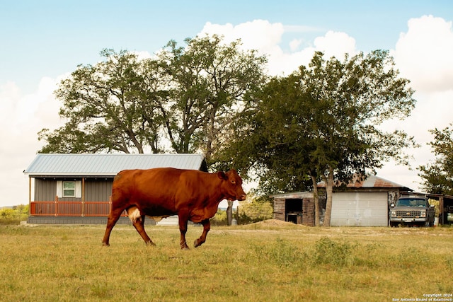 view of horse barn