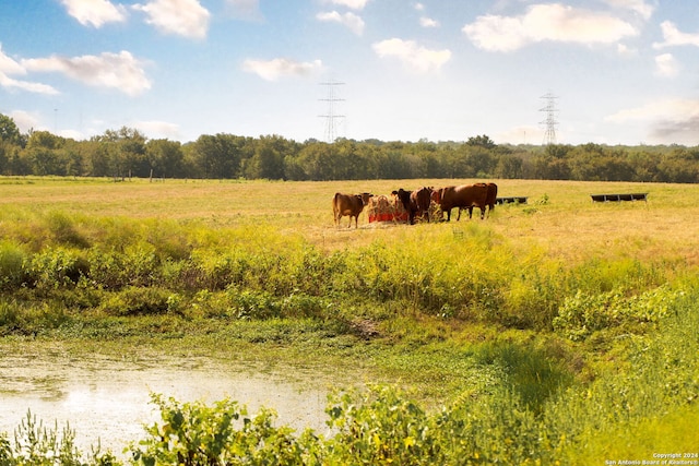 view of nature featuring a rural view