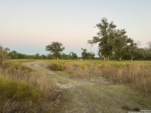 view of nature at dusk