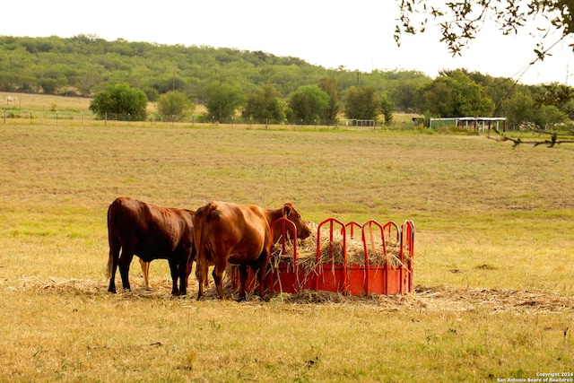 view of stable featuring a rural view