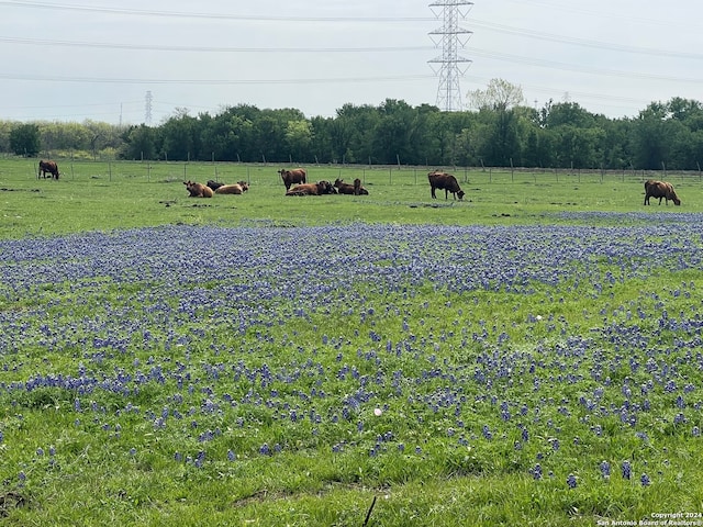 view of yard featuring a rural view