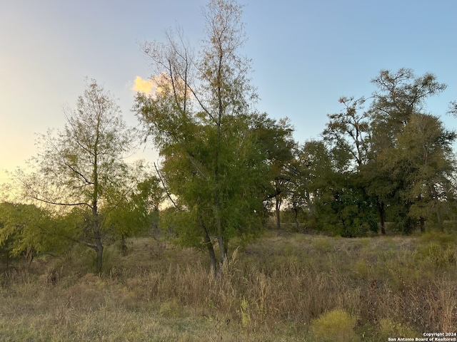 view of nature at dusk