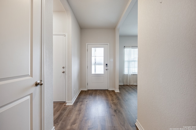 entryway with wood-type flooring