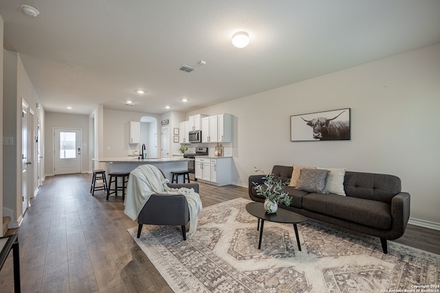 living room featuring sink and wood-type flooring