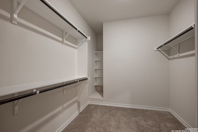 spacious closet featuring carpet