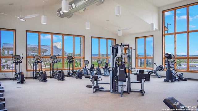 workout area with carpet floors, a high ceiling, and ceiling fan