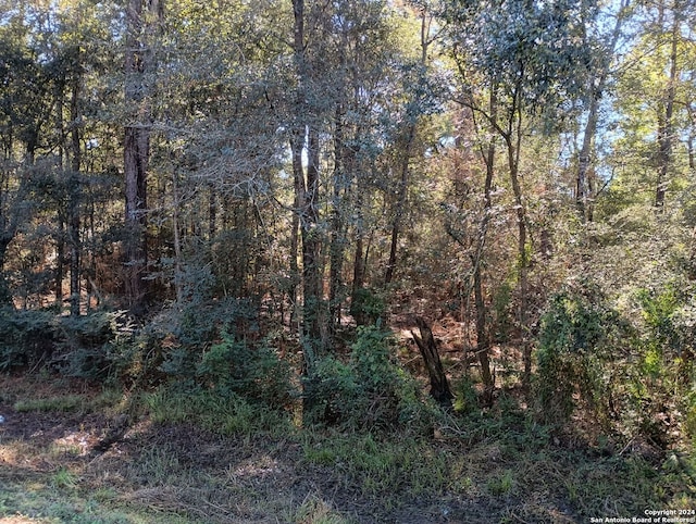 00 County Road 065, Jasper TX, 75951 land for sale