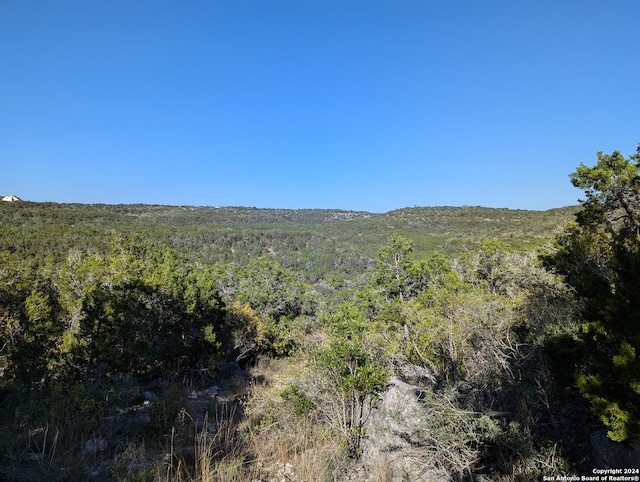 Listing photo 2 for LOT264 County Road 2752, Mico TX 78056