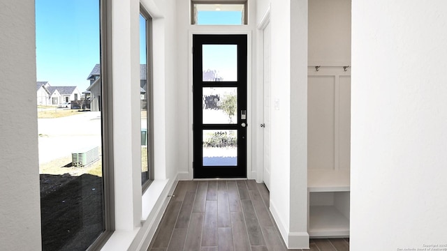 doorway featuring dark wood finished floors