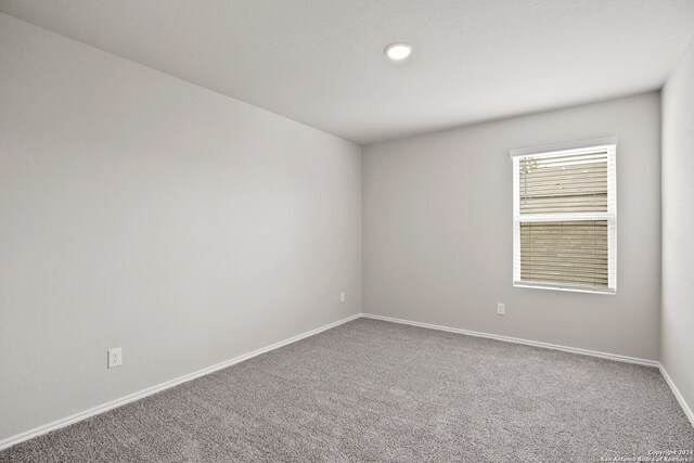 unfurnished room with carpet flooring