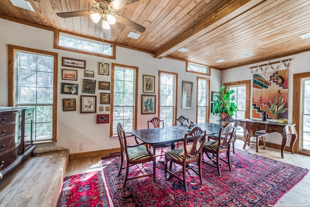 dining room featuring wooden ceiling, ceiling fan, beam ceiling, and light hardwood / wood-style flooring