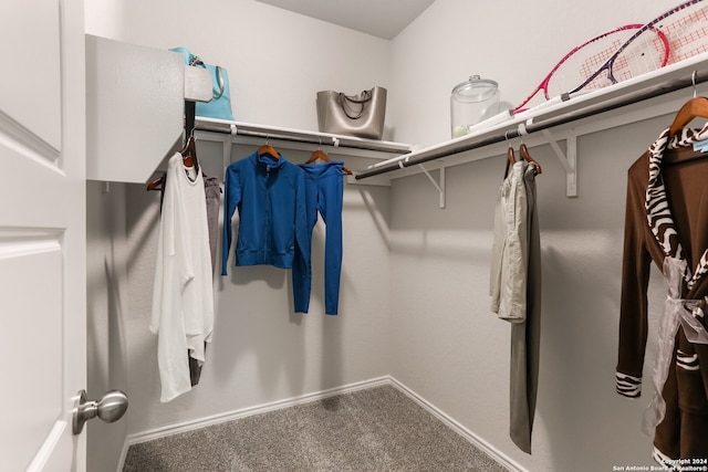 walk in closet featuring carpet floors