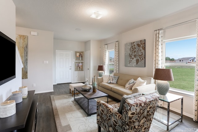 living room featuring hardwood / wood-style floors and a textured ceiling