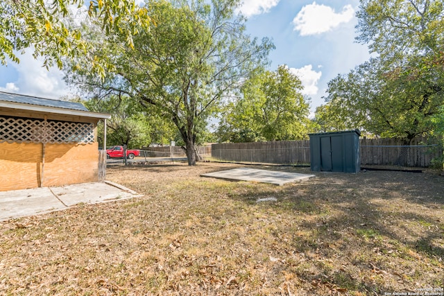 view of yard with a patio and a storage shed