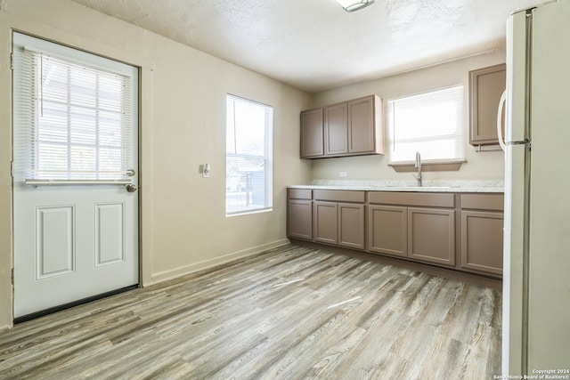 kitchen featuring light wood-type flooring, a wealth of natural light, and white fridge