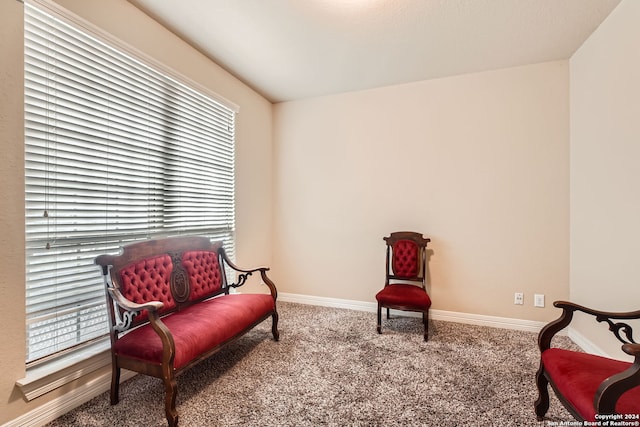 sitting room featuring carpet floors