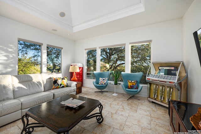 living room featuring crown molding and a raised ceiling