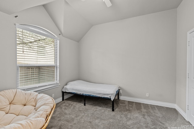 living area featuring ceiling fan, lofted ceiling, and carpet