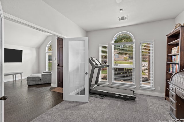 workout room featuring dark wood-type flooring, french doors, a healthy amount of sunlight, and vaulted ceiling