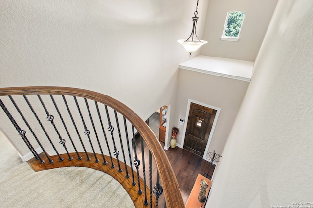 stairway featuring carpet flooring