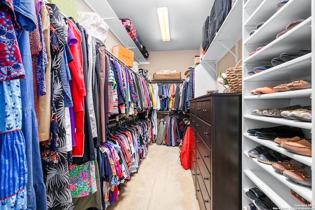 spacious closet with light colored carpet