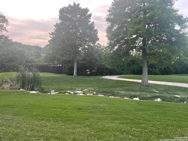 4103 Midvale Dr, San Antonio, TX 78229 - view of home's community with a lawn
