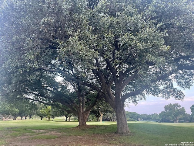 4103 Midvale Dr, San Antonio, TX 78229 - view of property's community featuring a lawn