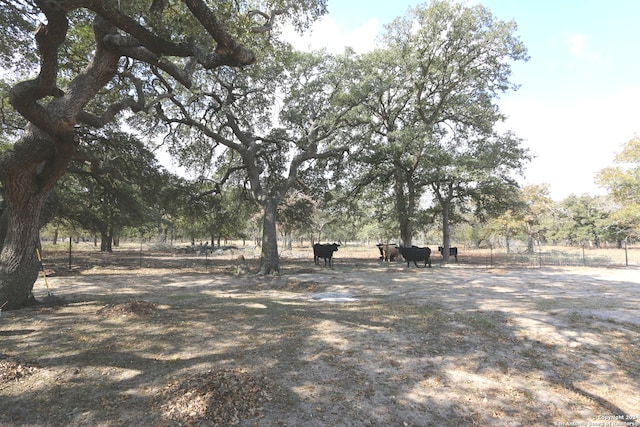 view of yard with a rural view