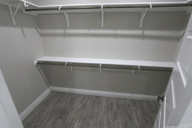 spacious closet featuring dark wood-type flooring