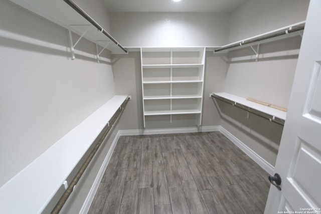 spacious closet featuring dark wood-type flooring