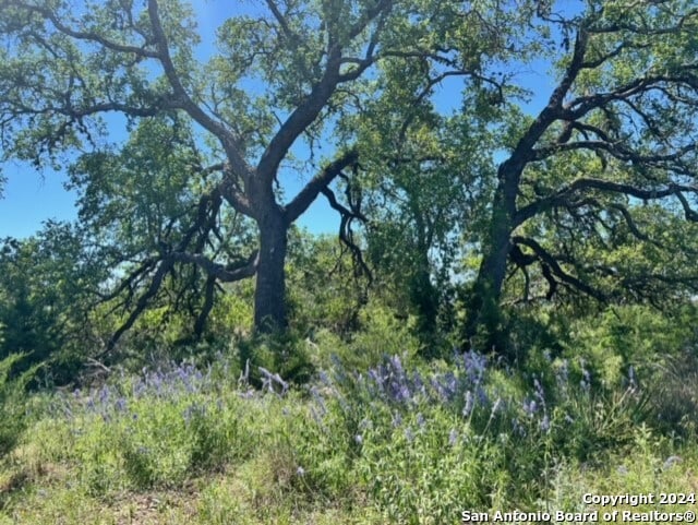 220 Blackbird, Spring Branch TX, 78070 land for sale