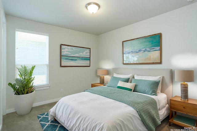 11514 Hollering Pass, Schertz, TX 78154 - carpeted bedroom with baseboards