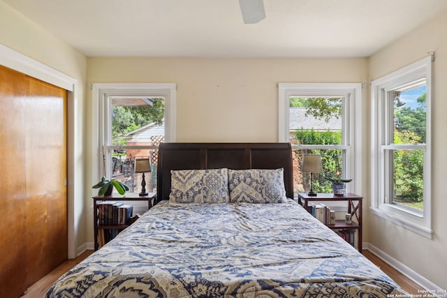 bedroom featuring ceiling fan, wood-type flooring, and multiple windows