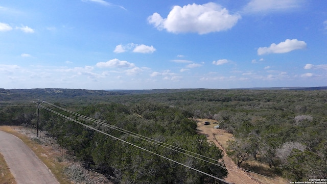 Listing photo 2 for 890 County Road 246, Hondo TX 78861