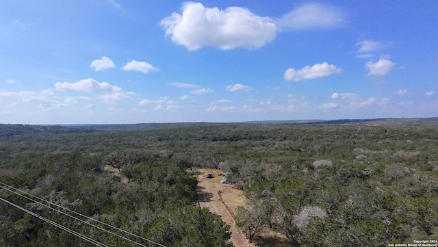 Listing photo 3 for 890 County Road 246, Hondo TX 78861